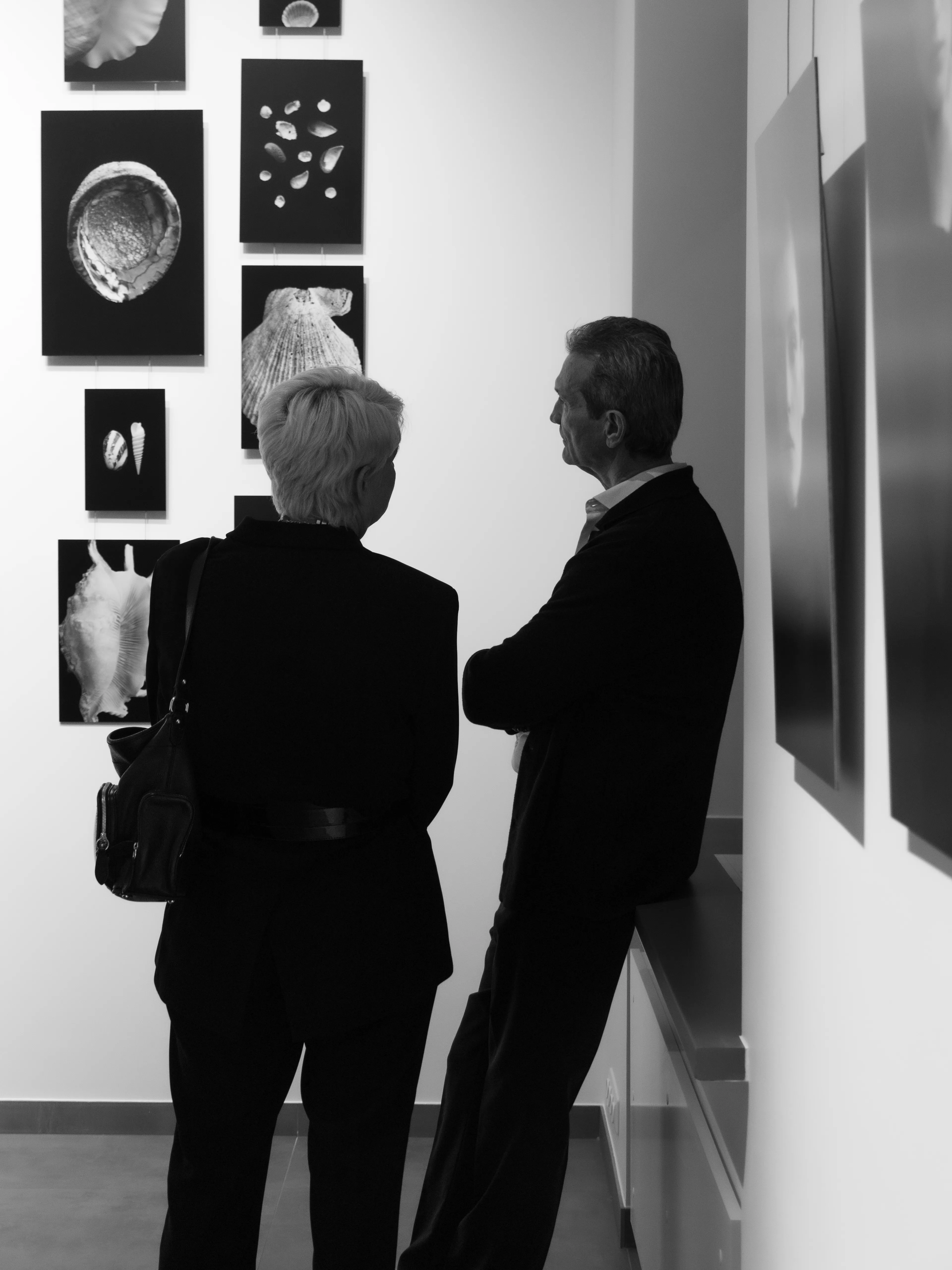 Couple viewing seashell photography exhibition