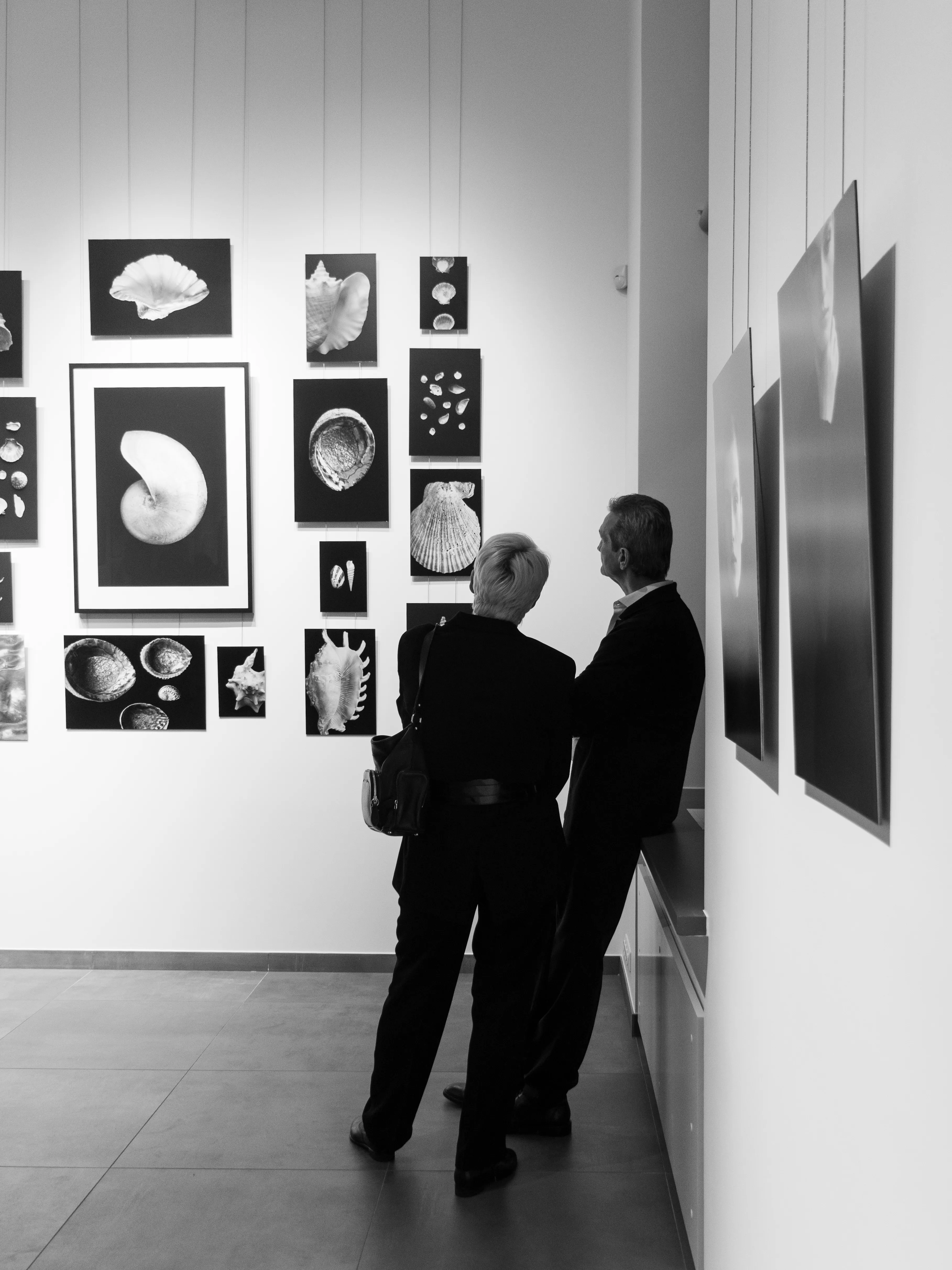 Couple viewing seashell photography wall at gallery