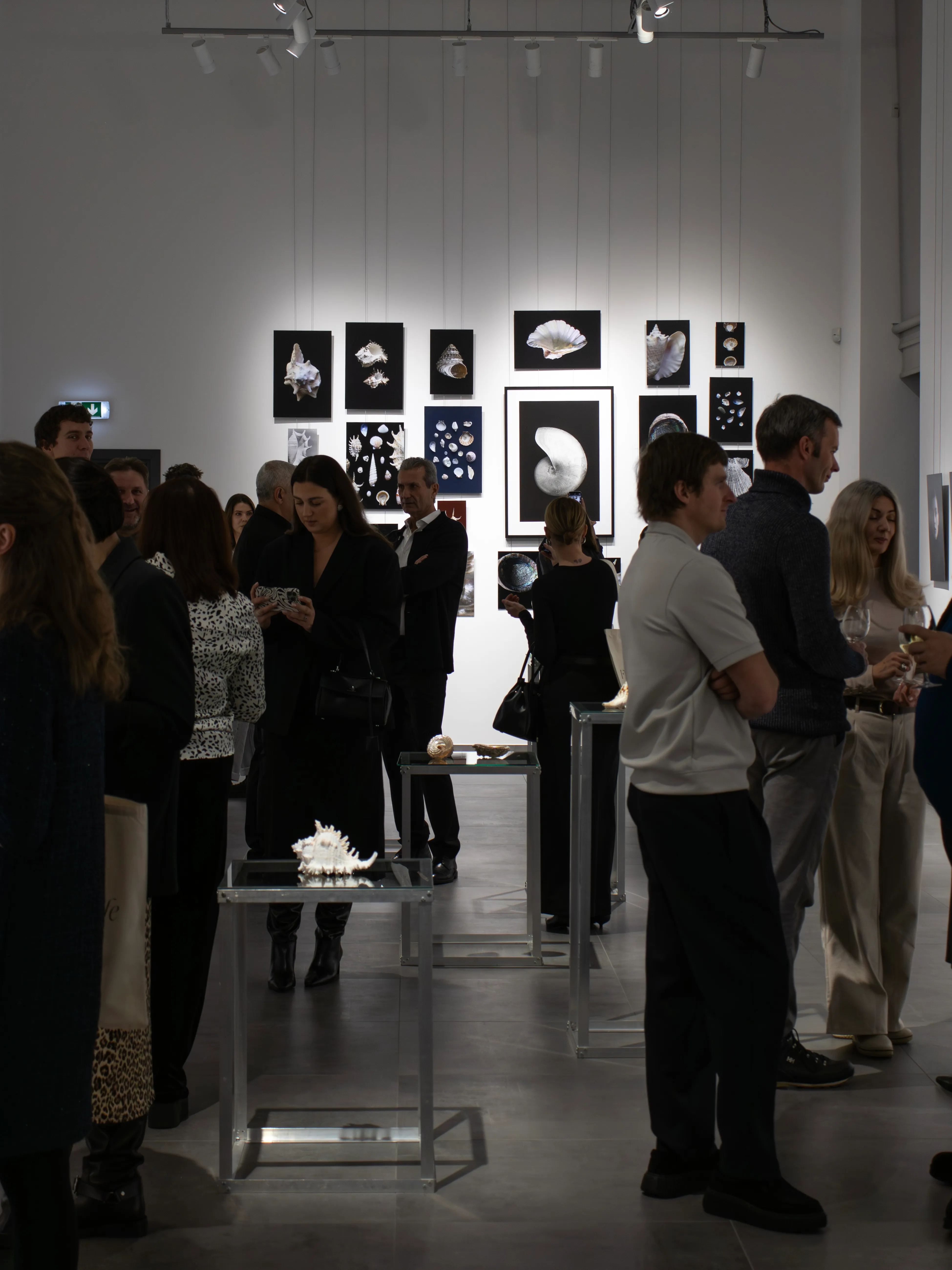 Crowd at gallery opening with seashell artwork