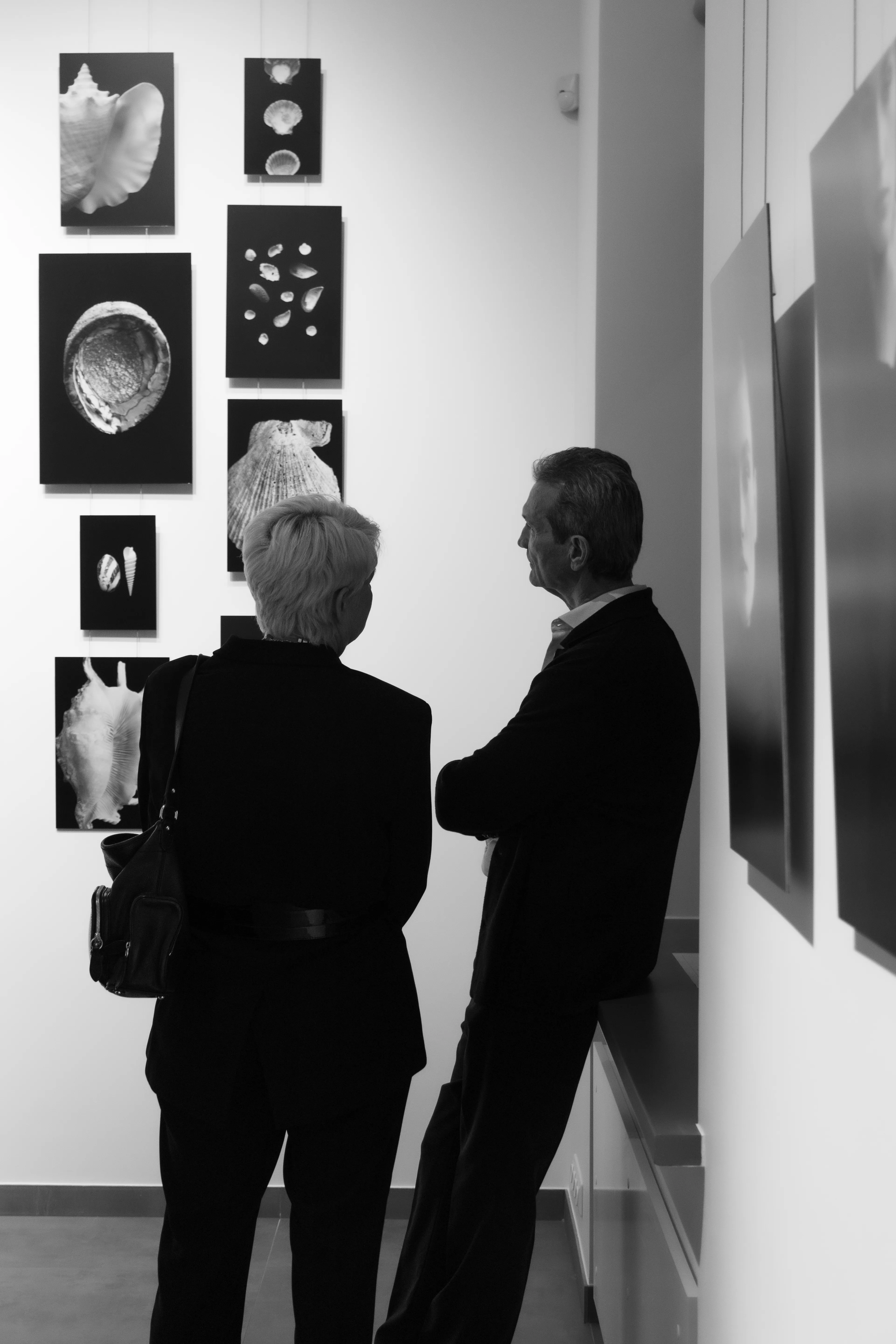 Couple viewing seashell photography exhibition