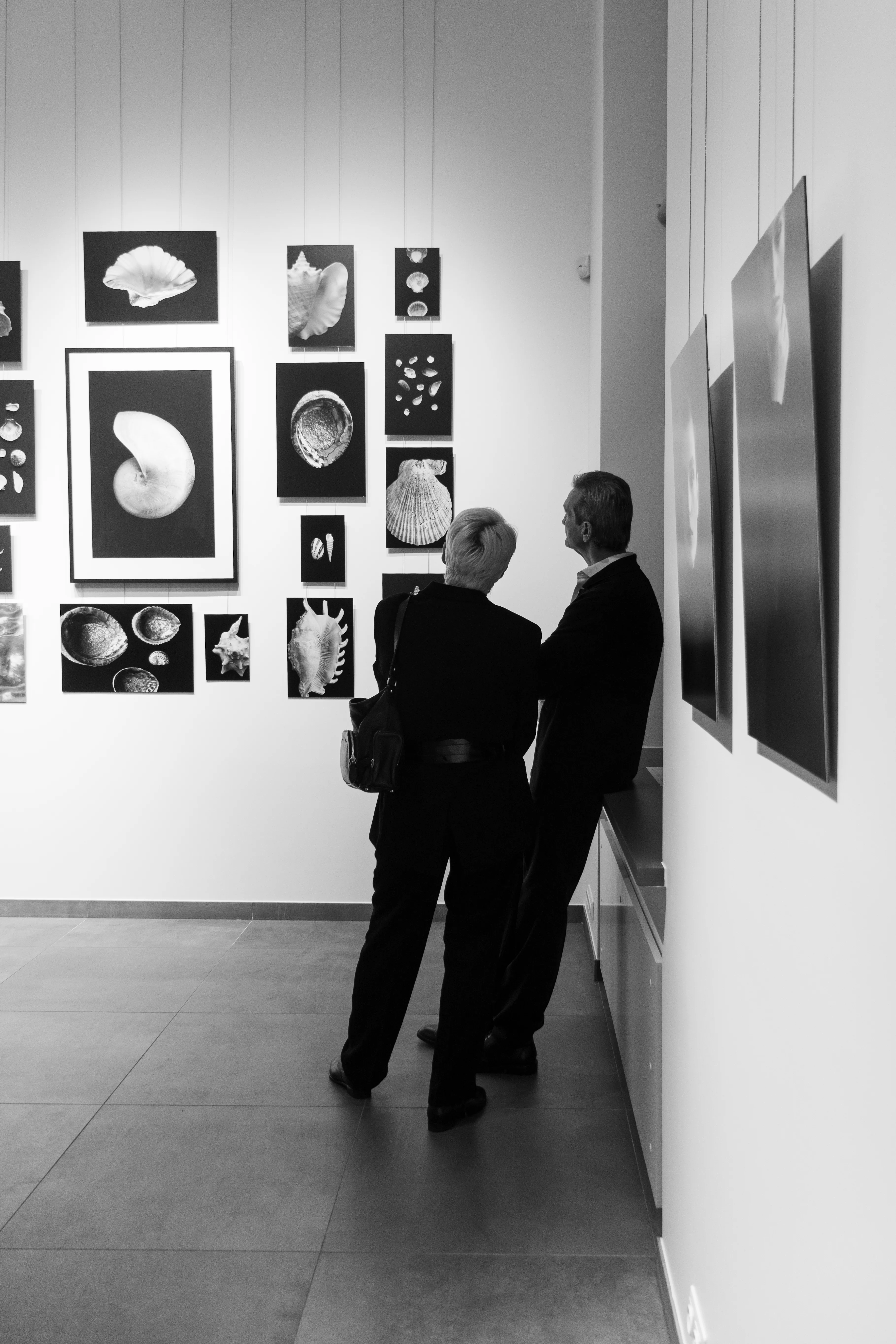 Two men viewing seashell photography wall at gallery
