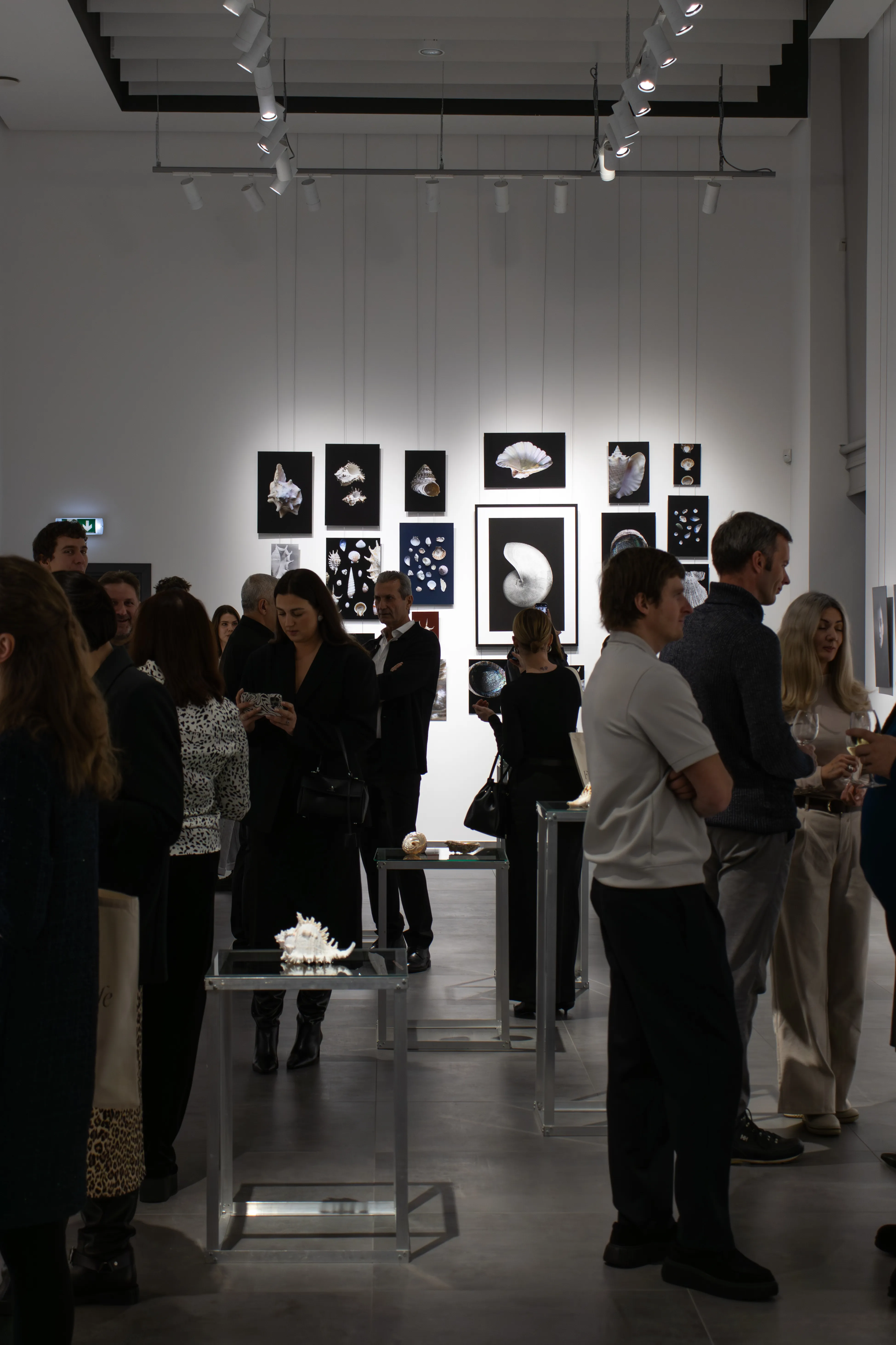 Gallery opening crowd with seashell artwork