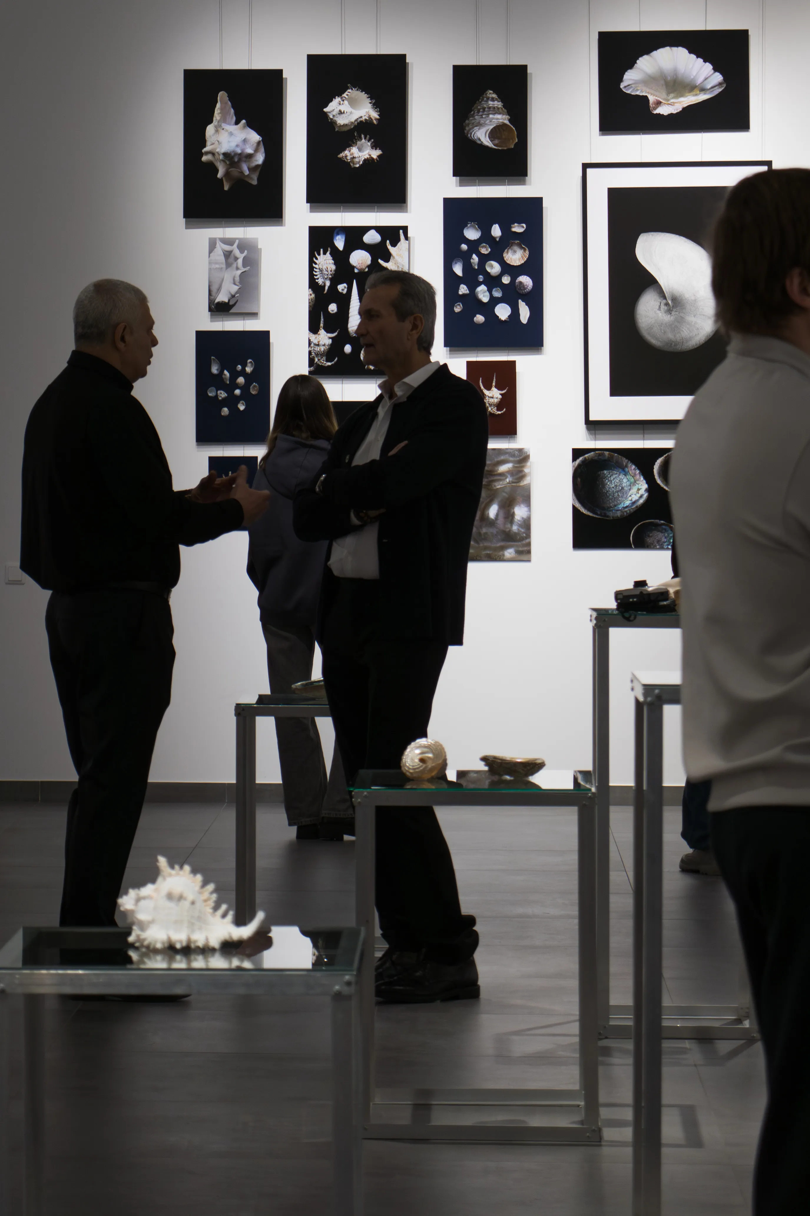 Men conversing at gallery with seashell displays