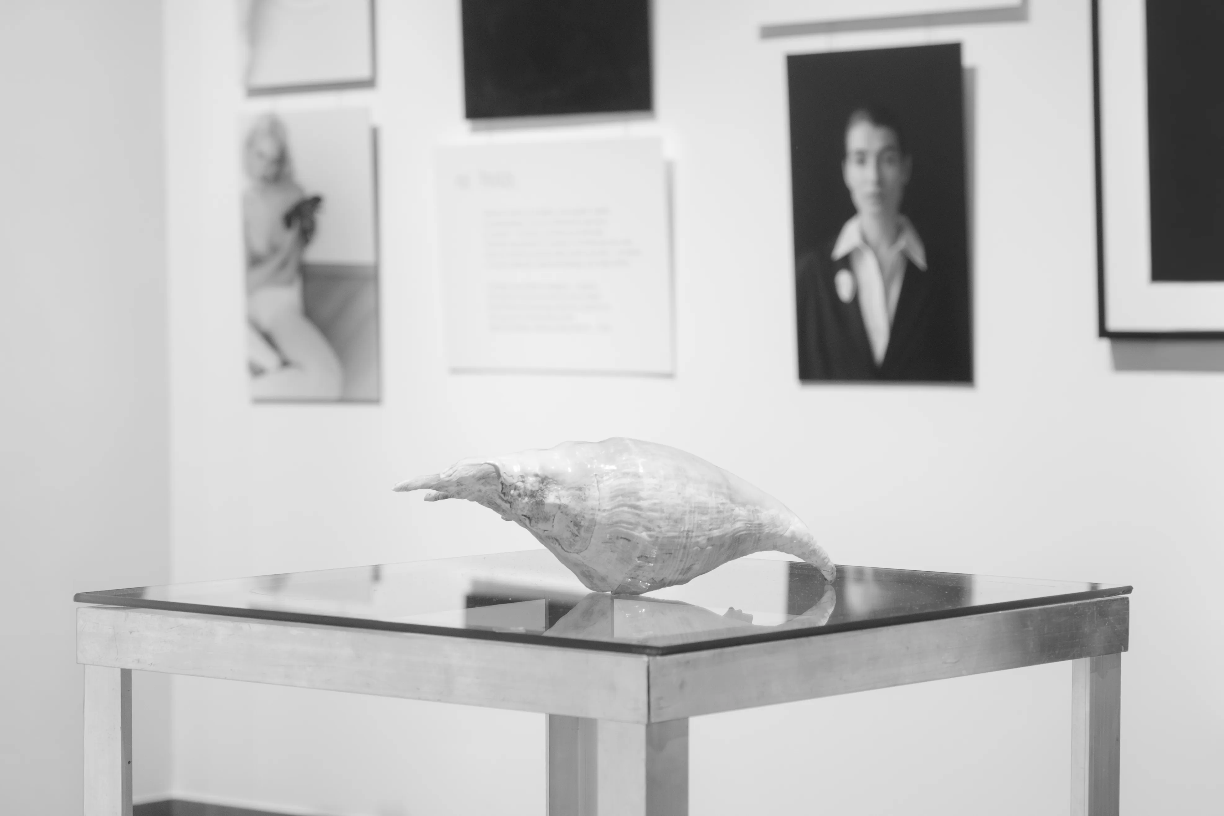 Sculpture on glass table in gallery with portraits in background