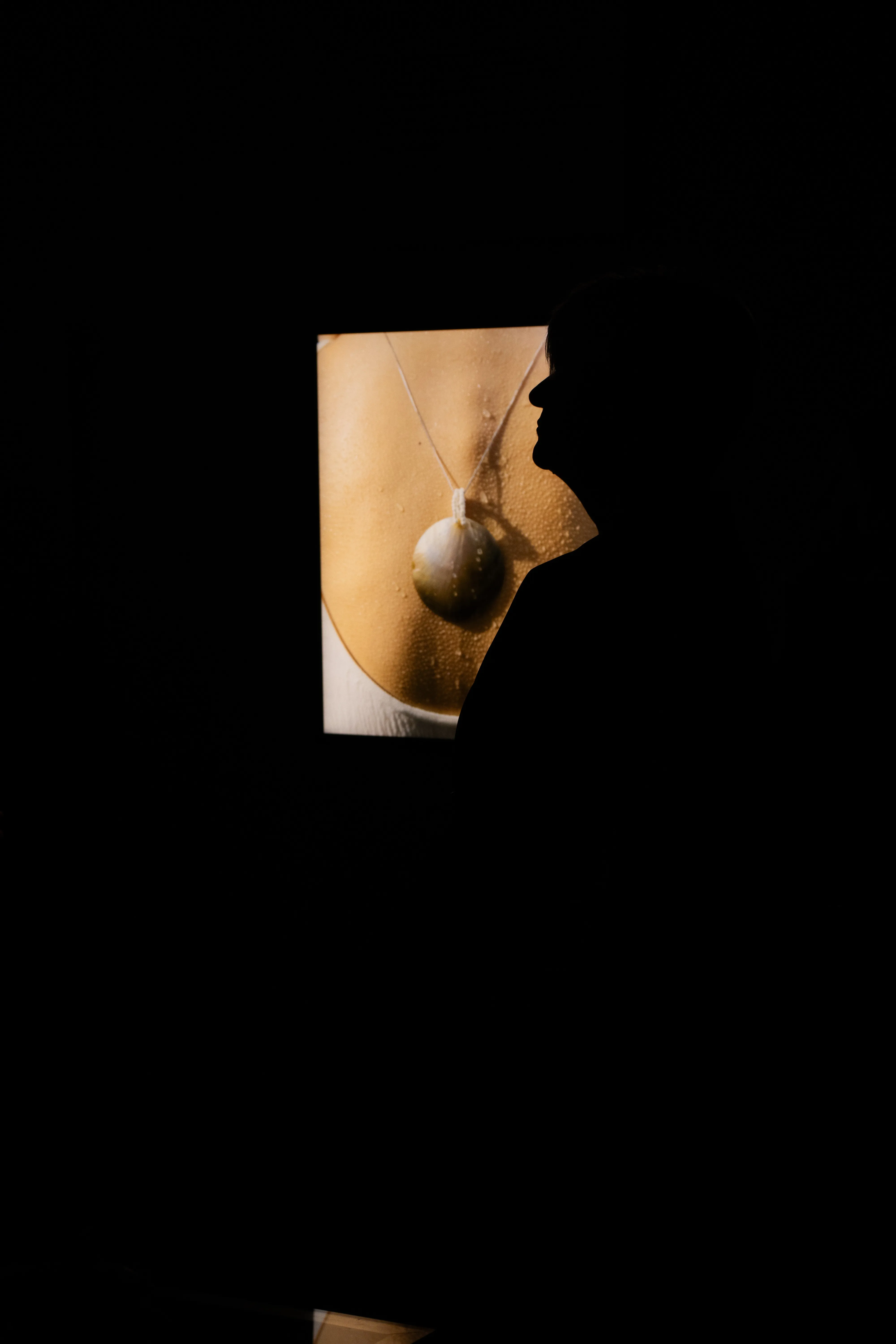 Golden-toned silhouette with pendant necklace